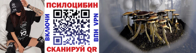 Псилоцибиновые грибы мицелий  Купить где  Ревда 